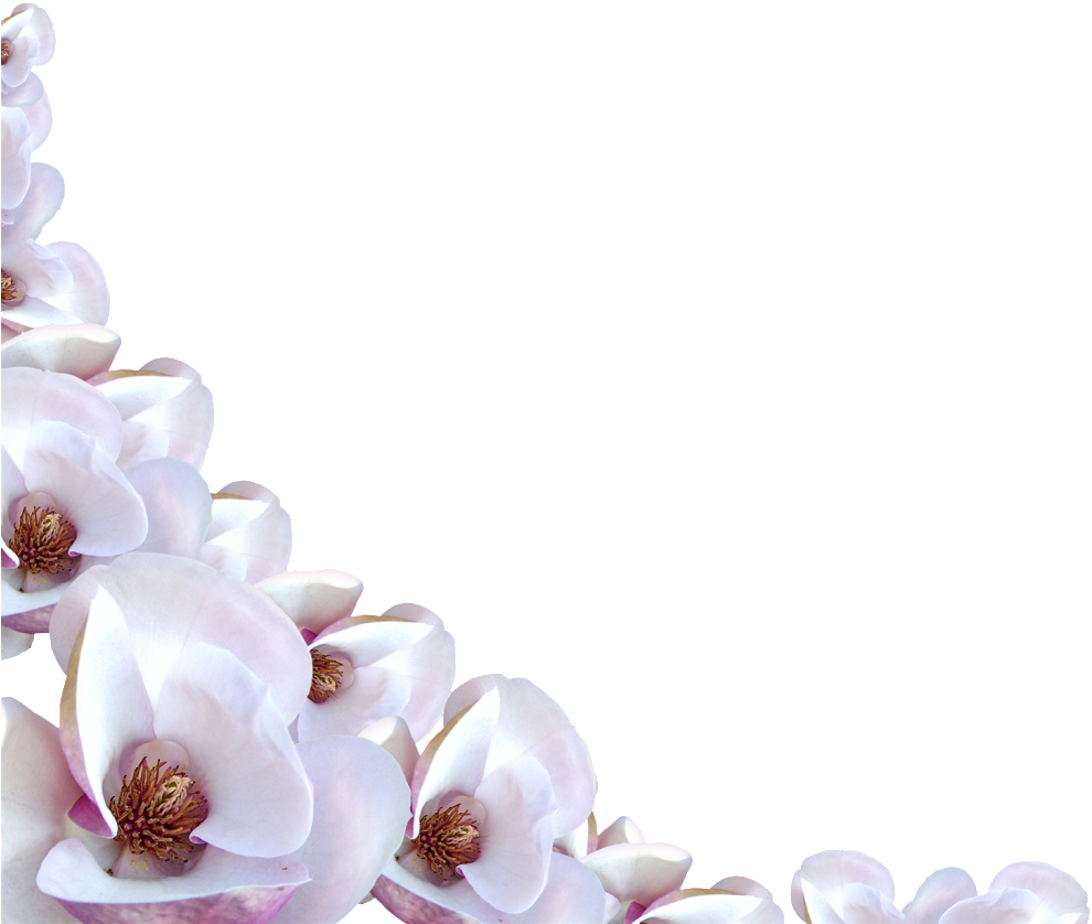 Flower Border Png - White Flower Border Png (1023x925), Png Download