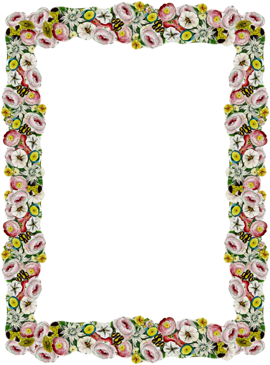 Vintage Borders, Flower Borders, Floral Border, Vintage - Vintage Flower Border Png (891x1200), Png Download