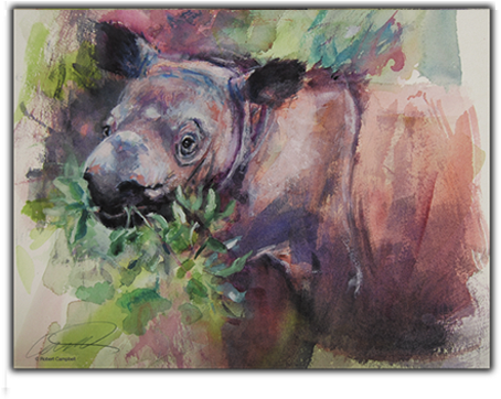 Sumatran Baby Rhino Print - Sumatran Rhinoceros (600x399), Png Download