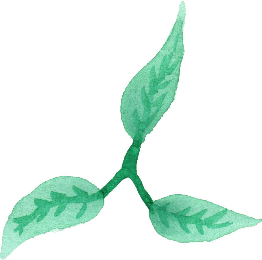 25 Watercolor Leaf Vol - Illustration (906x898), Png Download
