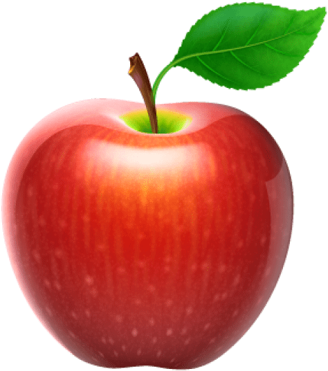 Free Png Apple Fruit Png Images Transparent - Apple Fruit Design (480x543), Png Download