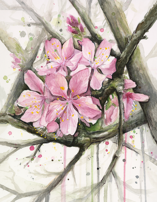 Click And Drag To Re-position The Image, If Desired - Cherry Blossom (544x700), Png Download
