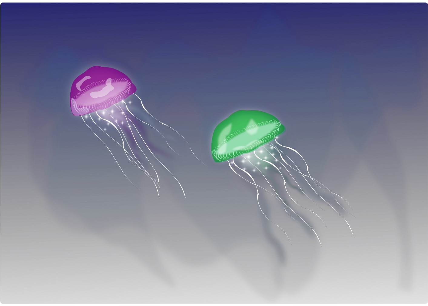 Report Abuse - Jellyfish (1412x1024), Png Download