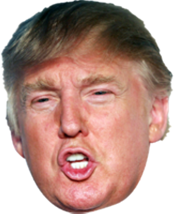 10 - Donald Trump Toilet Roll Talker - Makes Regular Toilet (342x420), Png Download