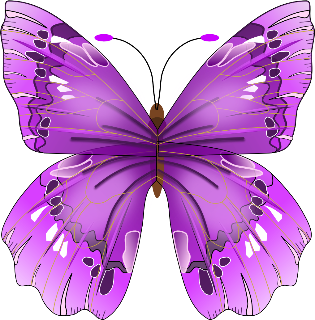 Butterfly - Purple Butterfly Vector Free (1331x1876), Png Download