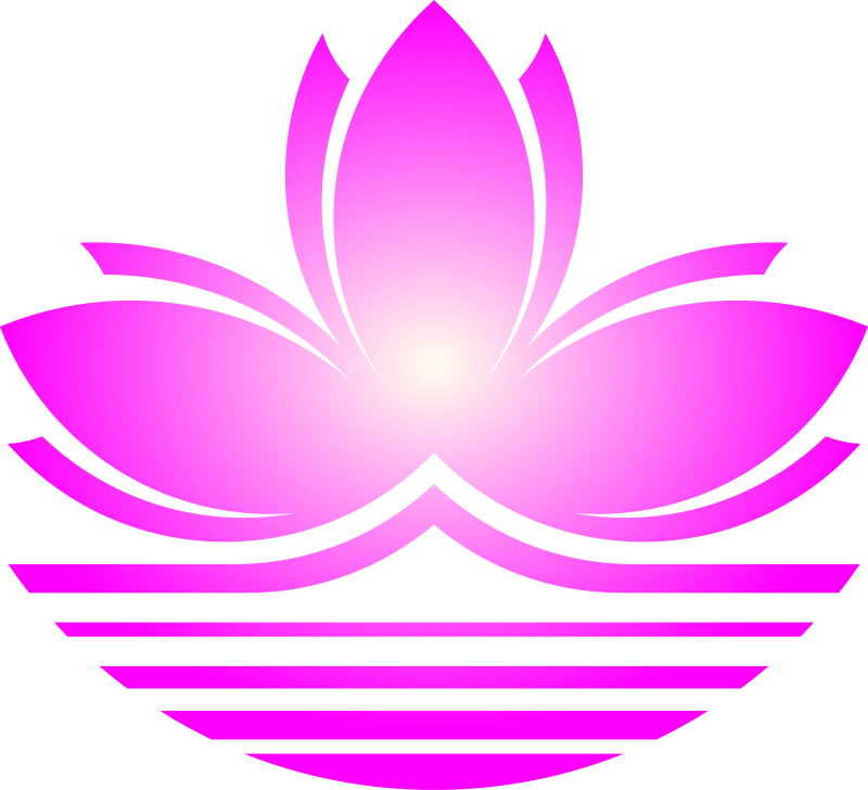 Medium Image - Lotusflower Png (800x728), Png Download