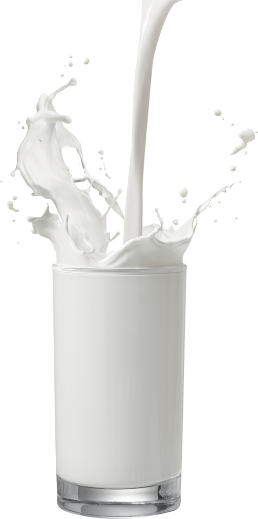 Glass Of Milk Transparent Background Png - Milk In Glass Png (509x1024), Png Download