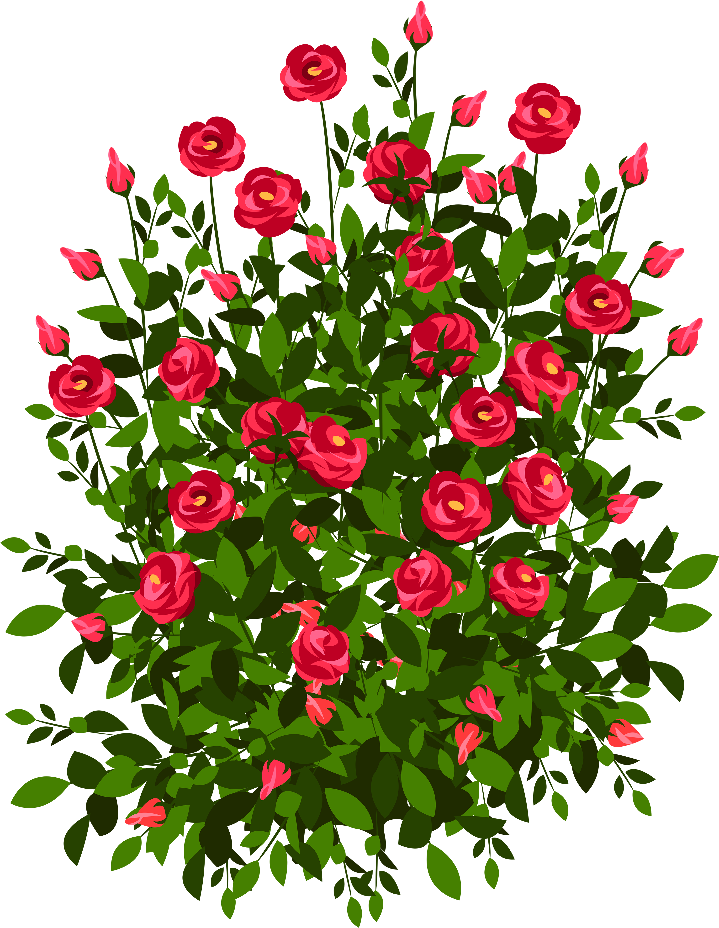 Drawing Of A Rose Bush (3242x4000), Png Download