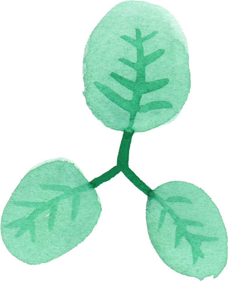 Leaf Png Transparent Vol Onlygfx Com - Watercolor Painting (781x965), Png Download