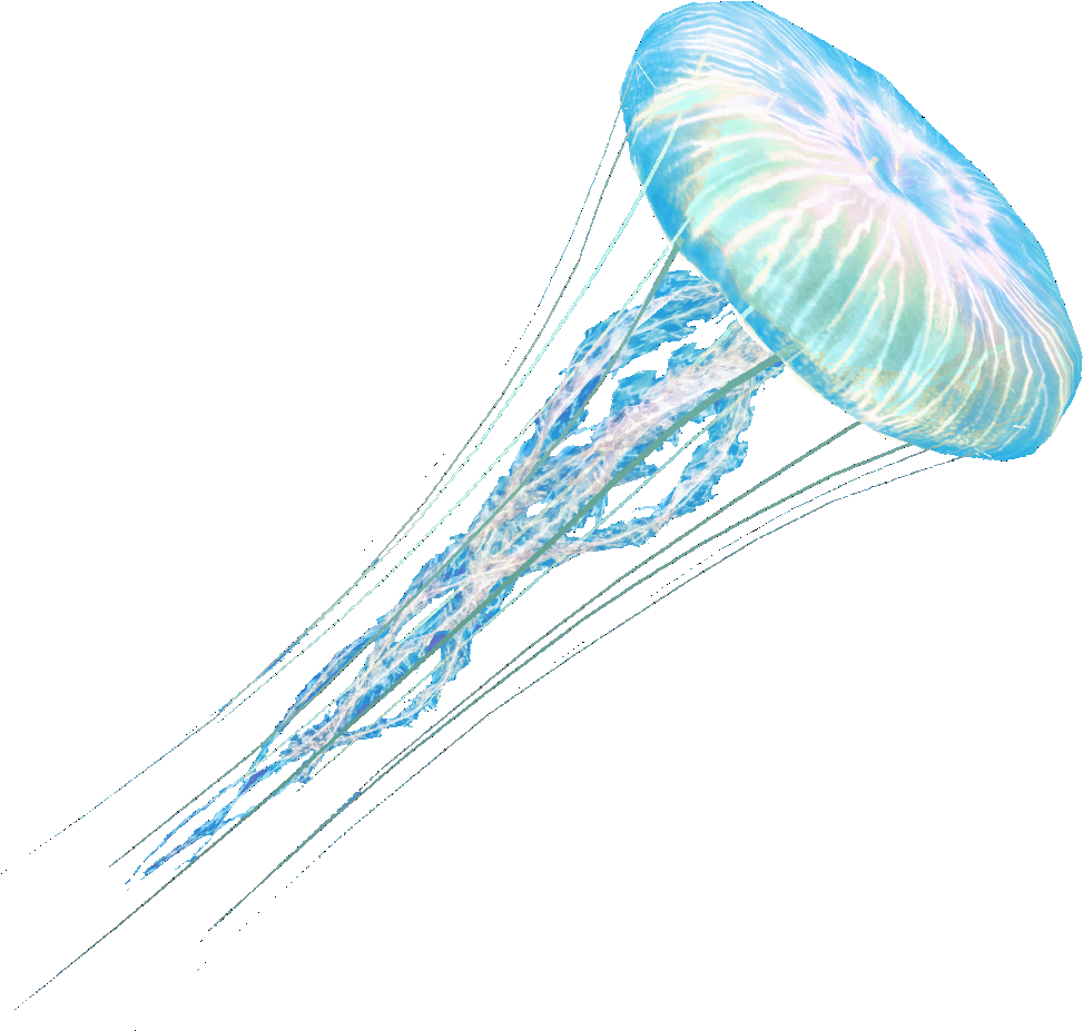 Ac4db - Jellyfish - Assassin's Creed (1024x1024), Png Download