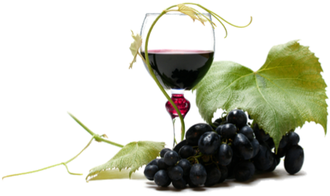Wine Png Clipart - Grapes And Wine Png (524x296), Png Download