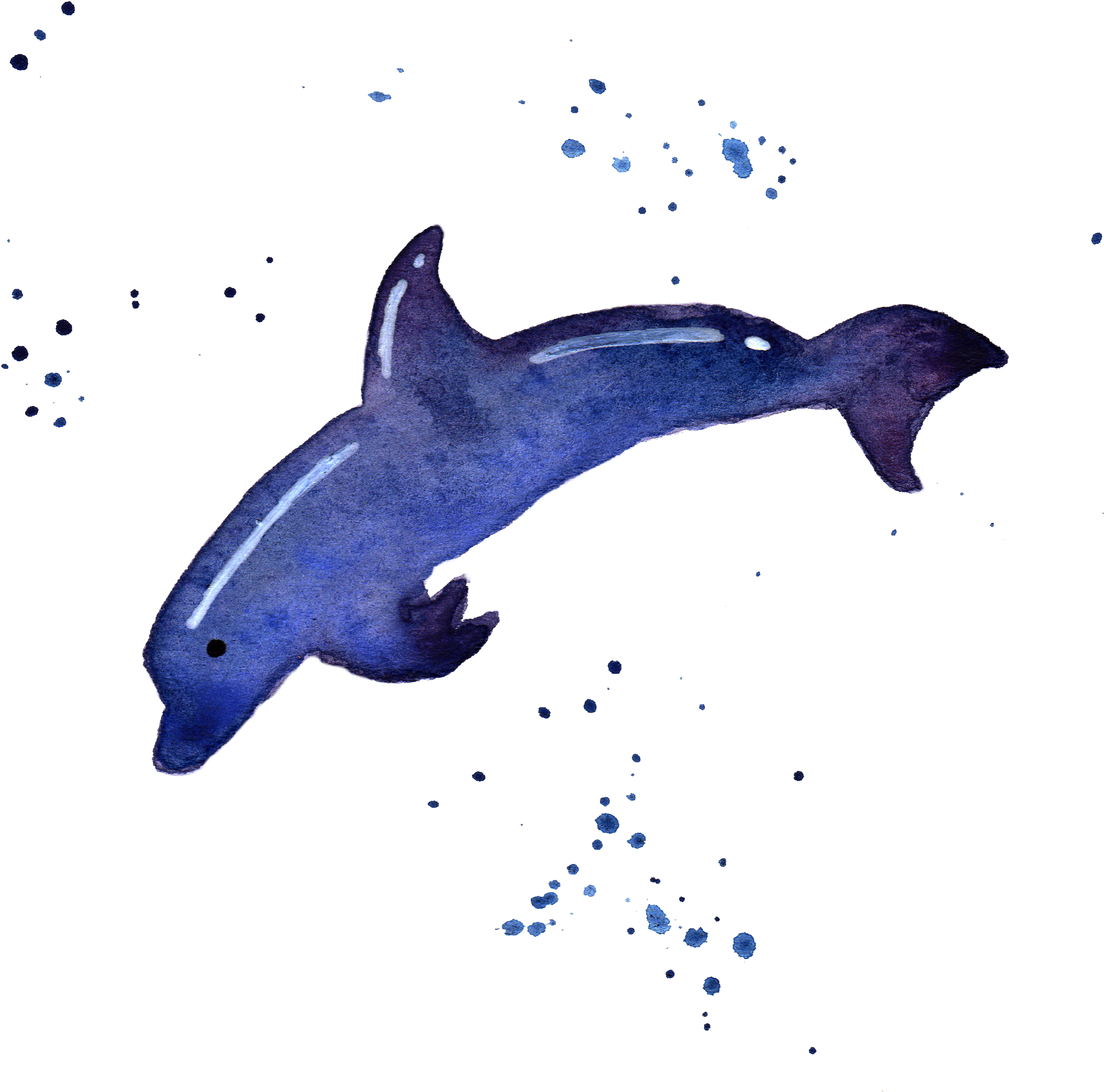 Transparent Whale Watercolor Png Download - Watercolor Sea Animals Transparent (3000x3000), Png Download
