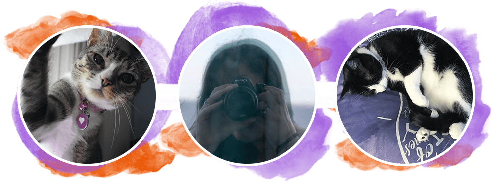 I Believe We Never Stop Learning, And It's Okay To - Kitten (1000x400), Png Download