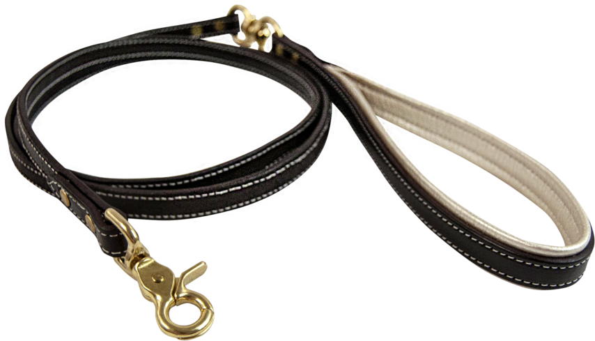 Signature Dog Leash - Dog (1024x819), Png Download