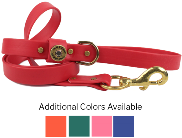 Water Dog Leash - Dog (600x600), Png Download
