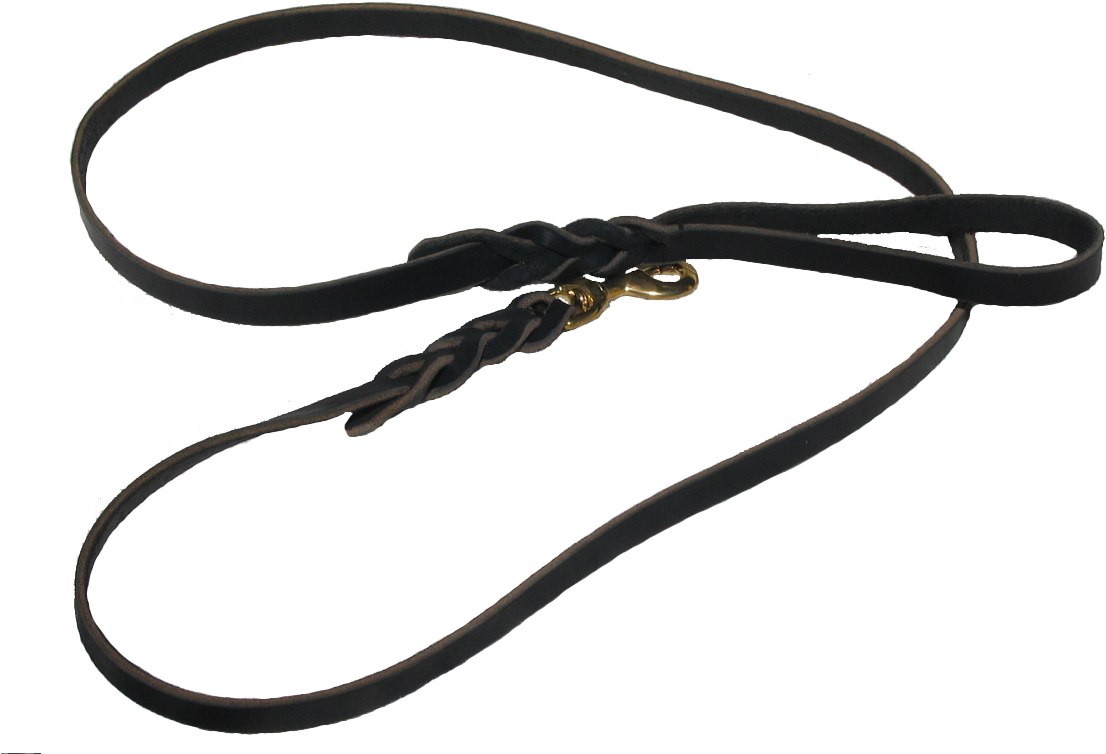 Black Leash - Leash (1131x789), Png Download