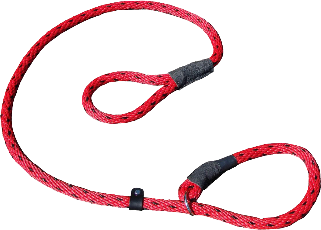 401058 401058-1 - Pet Harness (1125x800), Png Download