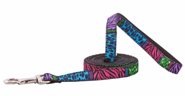 Back To The Wild Cat Leash - Kitty Rc Cat Leash - Back To The Wild - 1/2" Width (600x600), Png Download