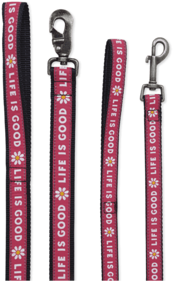 Nylon Daisy Dog Leash - Life Is Good. Dog Leash: Daisy Leash Pop Pink (570x570), Png Download