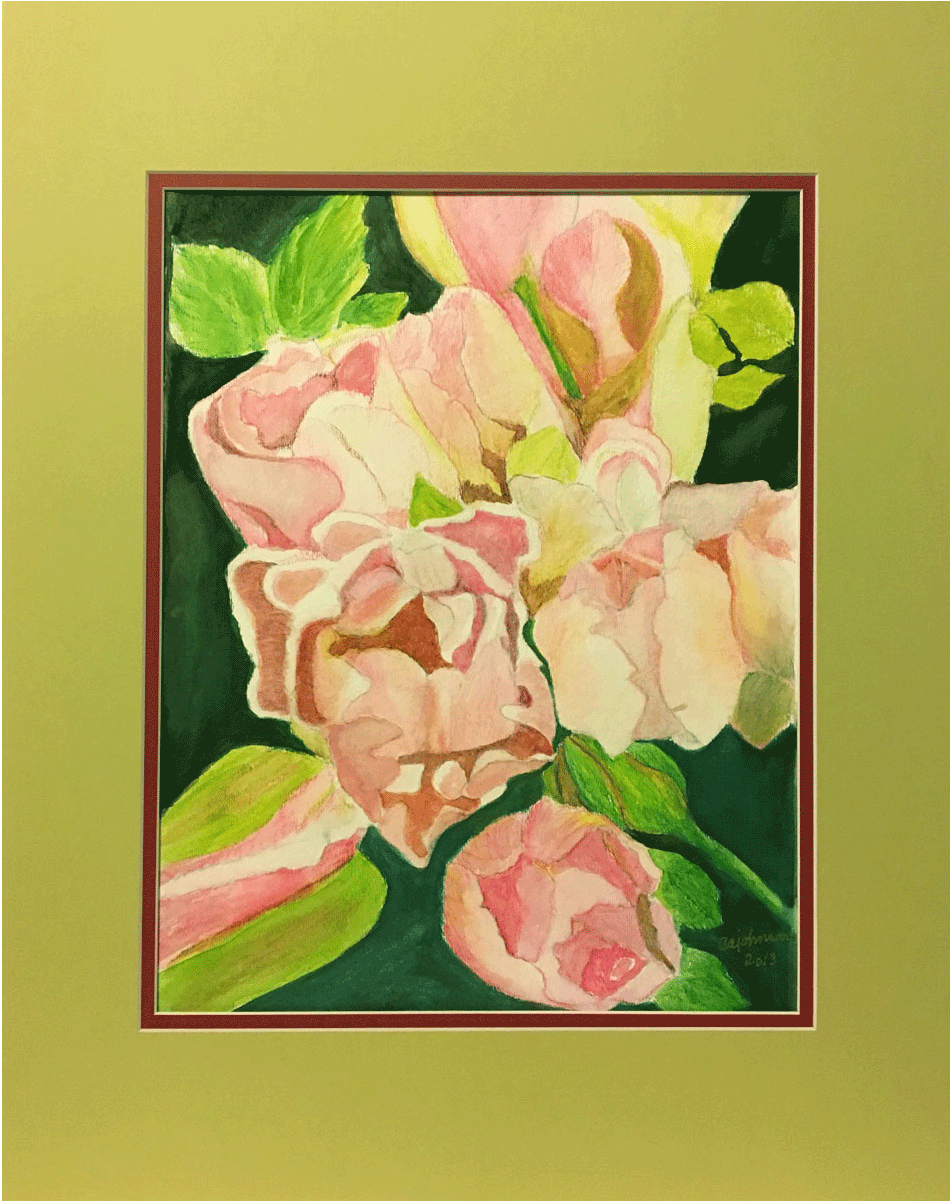 Frilly Pink Tulips - Hybrid Tea Rose (1200x1200), Png Download