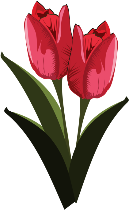 Tulip Clipart Pretty Flower - Public Domain Clip Art Flower (580x795), Png Download