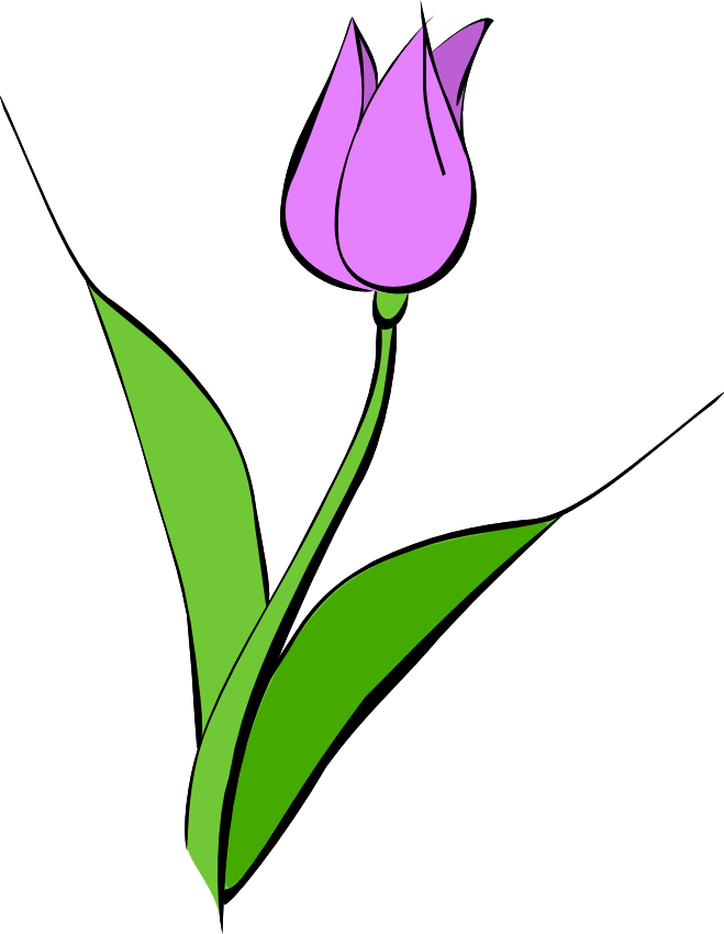 Purple - Tulipa Clipart (659x850), Png Download
