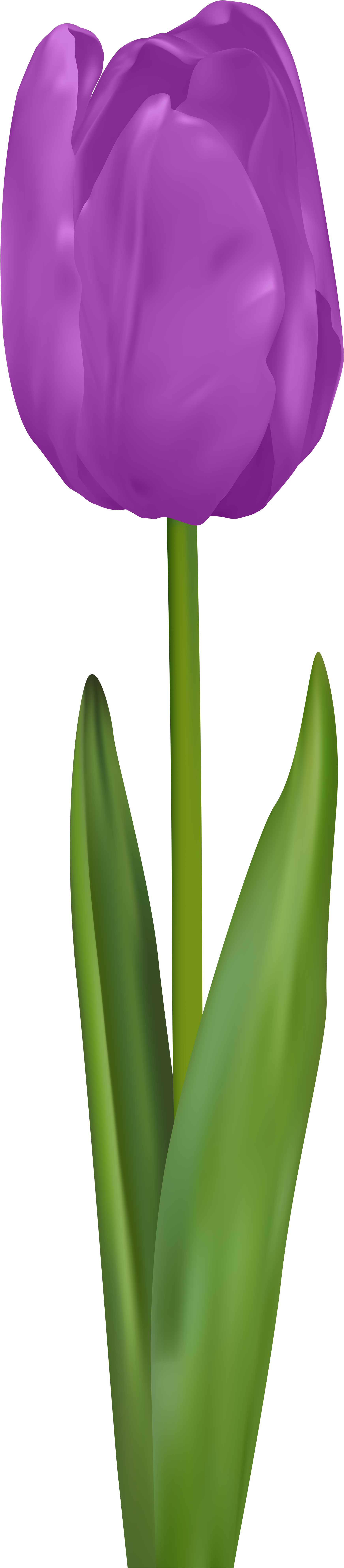 Drawing (2085x8000), Png Download