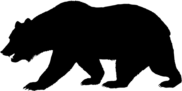 California Bear Outline - California Bear Transparent (768x446), Png Download