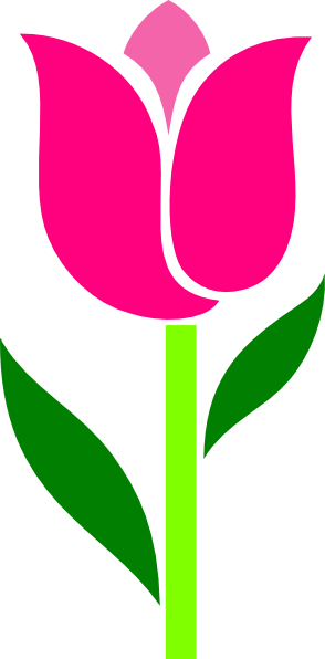 Pink Tulip Leaves Askew Clip Art At Clker - Tulip Flower Clipart (294x596), Png Download
