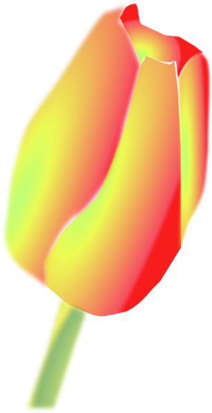 How To Set Use Cartoon Tulip Icon Png (306x595), Png Download