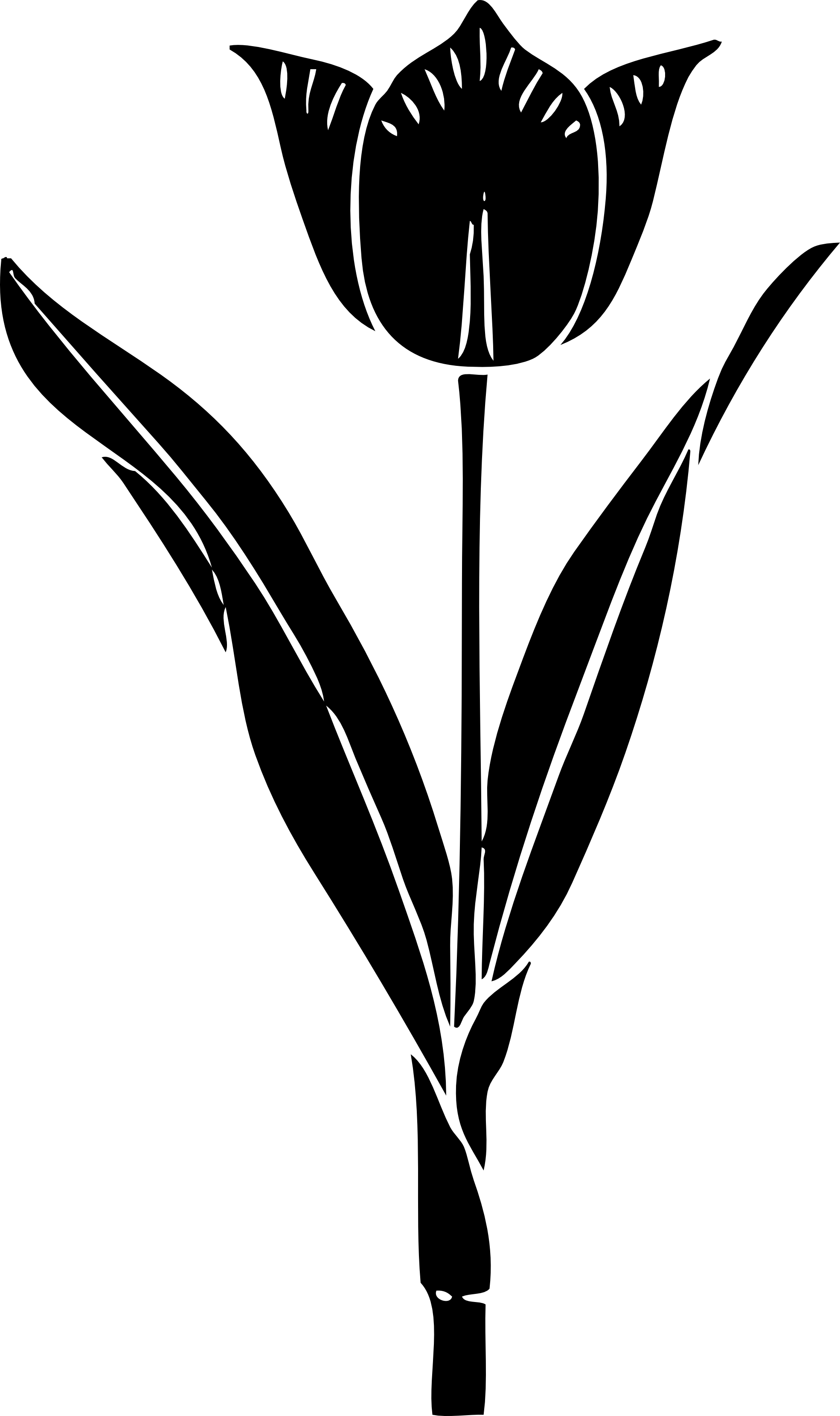 Black And White Panda Free Images - Tulip Silhouette (1969x3317), Png Download