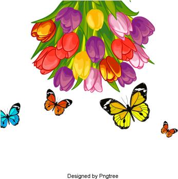Hand Painted Butterfly Png - Animation (360x360), Png Download