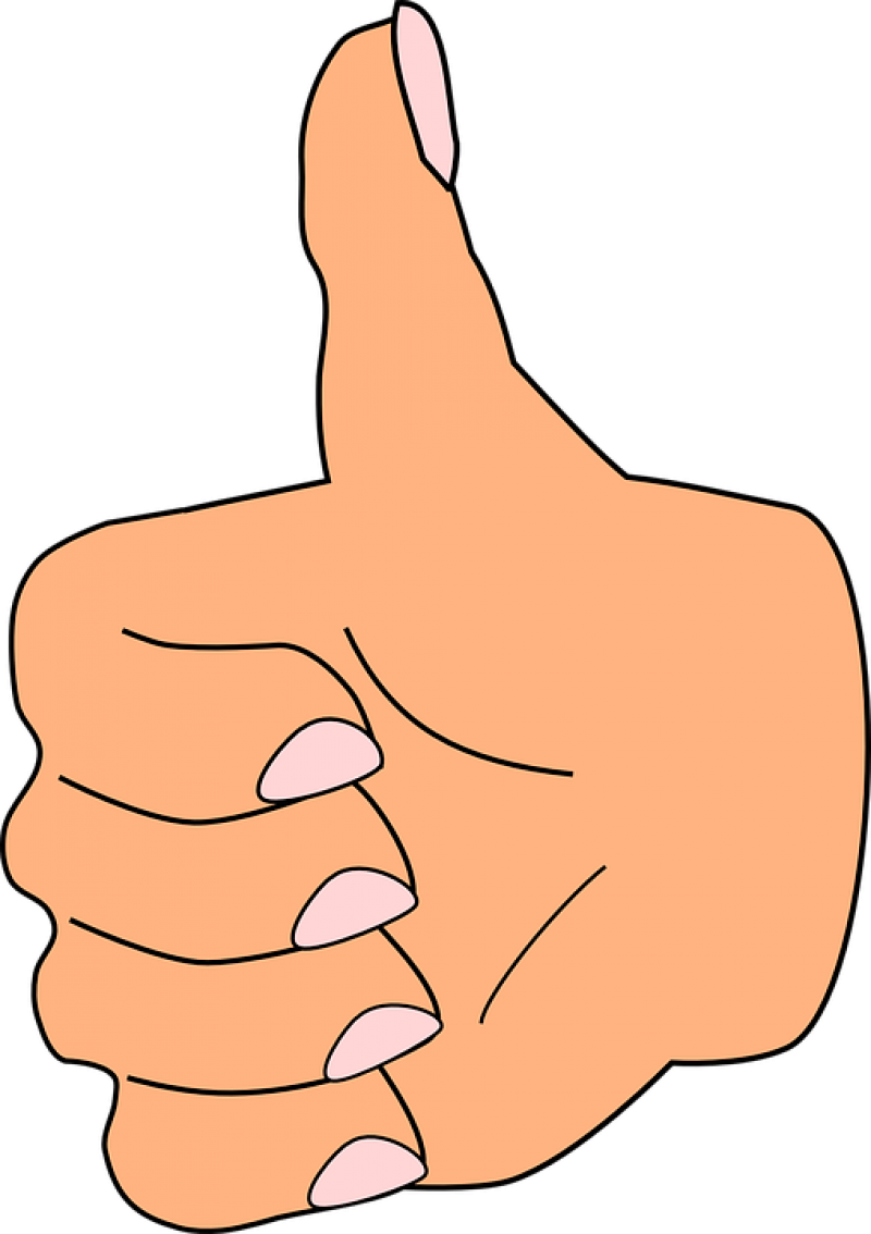 Thumb Up, Thumb, Like, Correct, Hand, Fingers, Positive - Thumb Clipart (452x640), Png Download