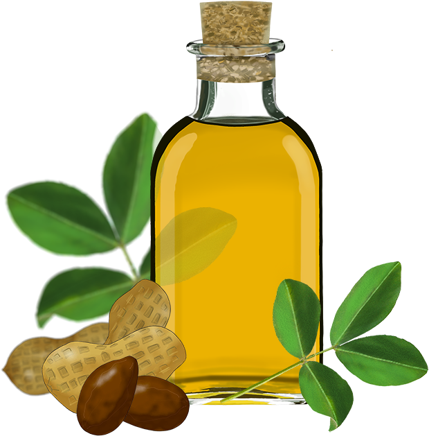 Florida Trade International, Cooking Oil - Oil Clipart Png (640x640), Png Download