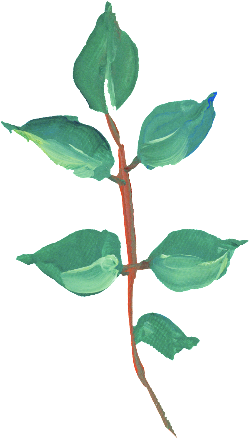 This Graphics Is Hand Painted Green Oil Leaf Png Transparent - Portable Network Graphics (1024x1638), Png Download
