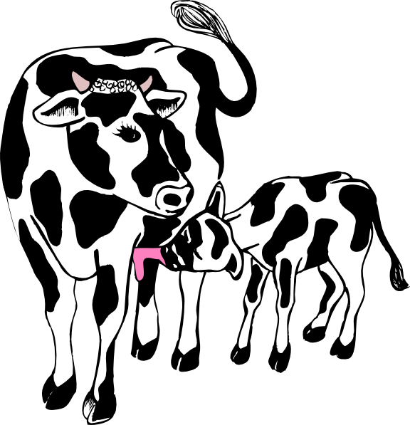 Cow Silhouette Cattle Silhouette Clipart Kid - Cow And Calf Clipart (576x597), Png Download