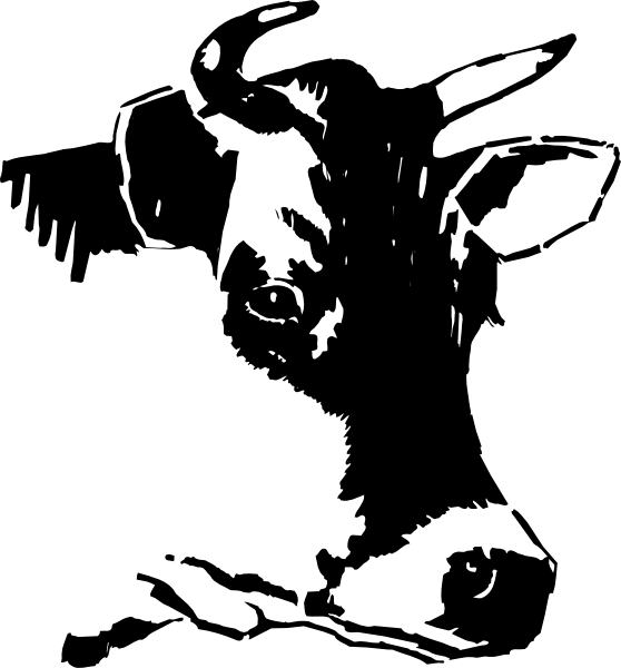 Use The Form Below To Delete This Show Steer Silhouette - Cabeza De Vaca Vector Png (558x600), Png Download