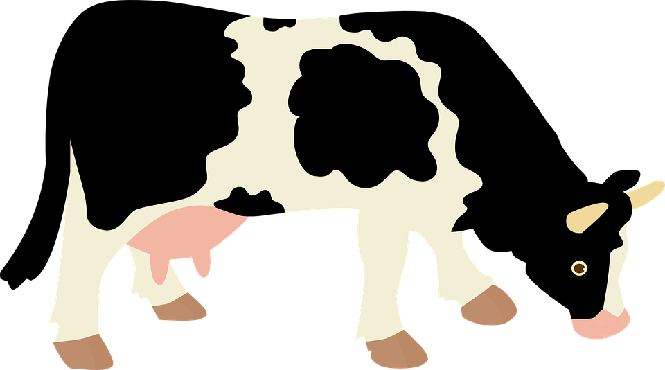 Beef Clipart Cow Milk Pencil And In Color Beef Clipart - Cow Vector Png (960x534), Png Download