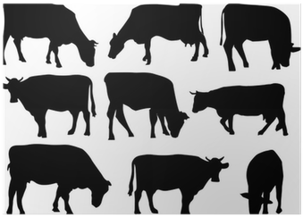 Nine Cows Silhouettes Isolated On White Poster • Pixers® - Cow Silhouette (400x400), Png Download