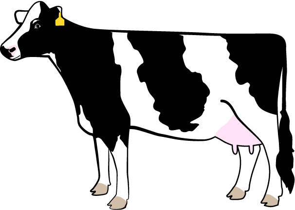 Free Dairy Cow Silhouette Png - Holstein Dairy Cow Clipart Black And White (606x431), Png Download