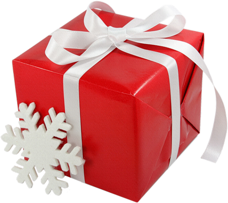El Regalo E - Christmas Gifts: 35 Awesome Gifts To Give Your Family (493x500), Png Download