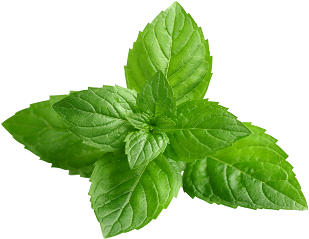 Clear Revive Peppermint Essential Oil - Isabellas Clearly Free Dandruff Irritated Itchy Scalp (750x488), Png Download
