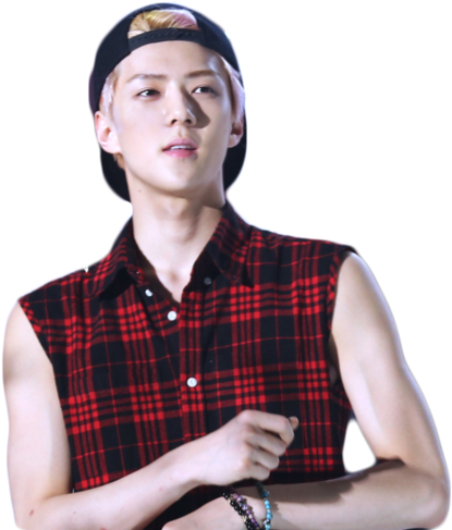 Exo, Transparent, And Sehun Image - Im His Property Wattpad (500x500), Png Download