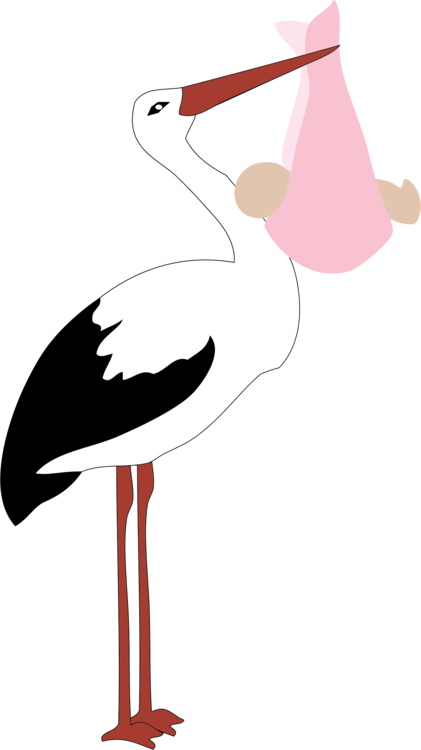 Stork Clipart Baby Png - Baby Girl Png Stork (420x748), Png Download