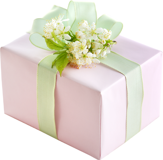 Paquet Cadeau Png Transparent, Tube - Gift (530x520), Png Download