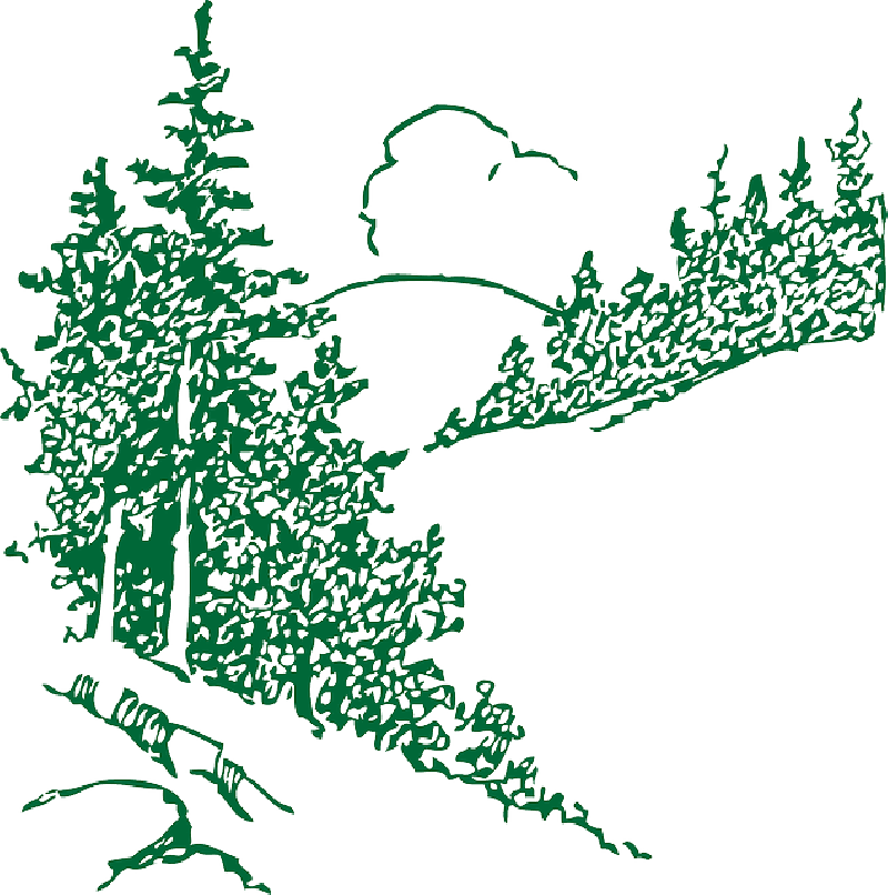 Mb Image/png - Mountain With Trees Outline (800x806), Png Download