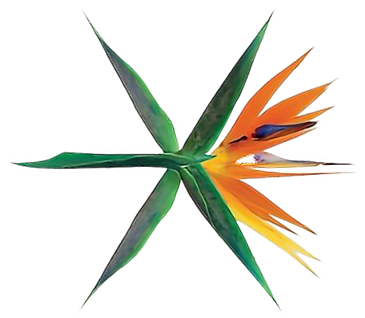 Exo Kokobop Twitter Emoji (688x700), Png Download