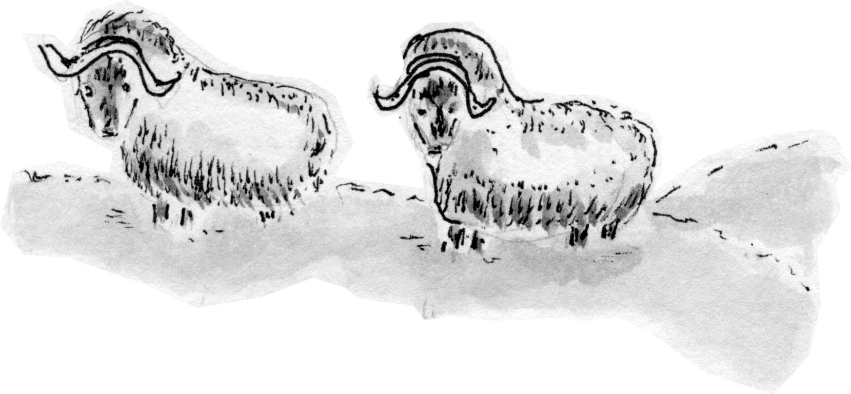 Picture - Sketch (1659x768), Png Download