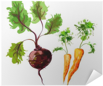 Set Of Vector Watercolor Vegetables - Vegetable (400x400), Png Download