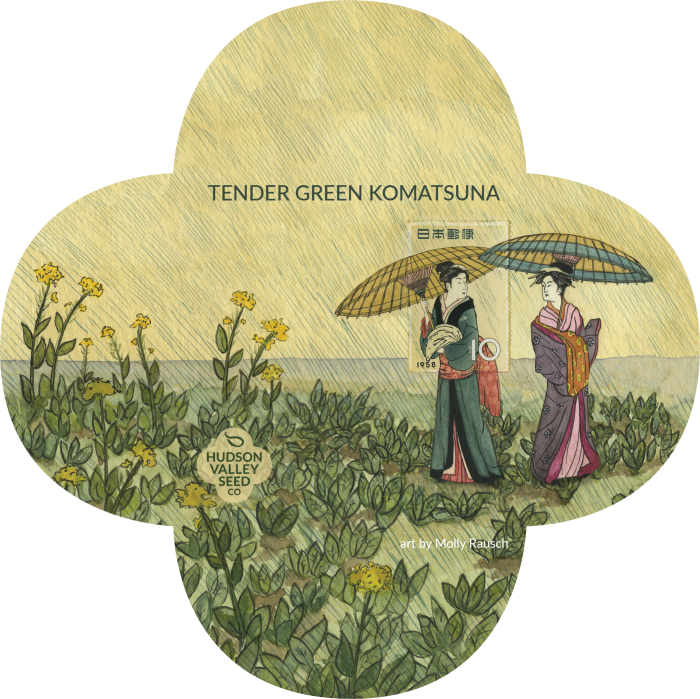 Tendergreen Komatsuna - Komatsuna Seeds (700x699), Png Download